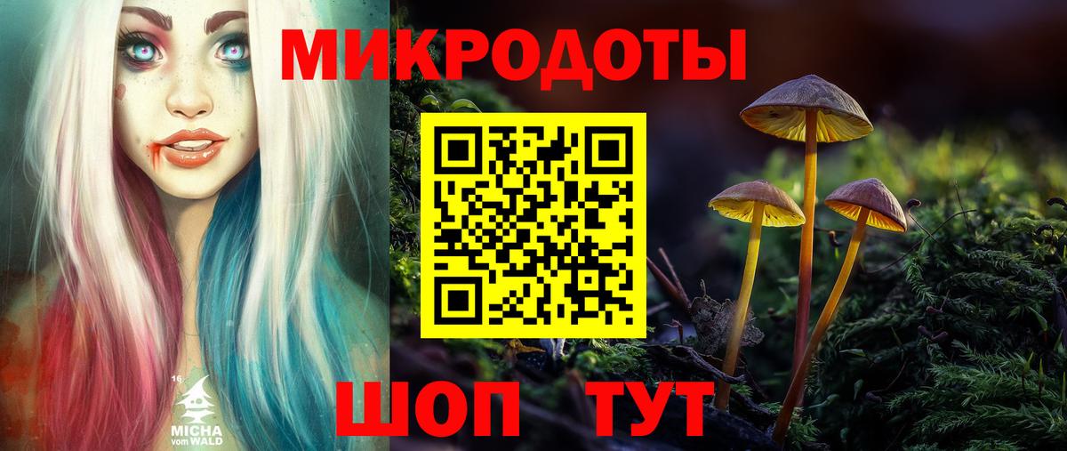 Псилоцибиновые грибы мицелий Белгород